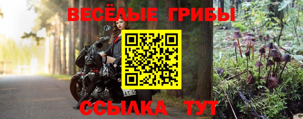 Псилоцибиновые грибы ЛСД  Вход с VPN  Псилоцибиновые грибы ЛСД  Кудрово 
